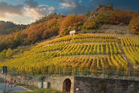 Pano2012_Weinstrasse_Kalender_2016 (2)