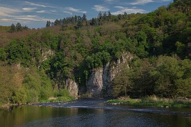 _157364 (2)