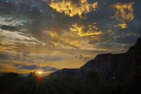 _233358_b (1)