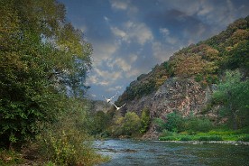 Pano2020_116_g