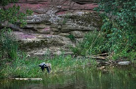 Pano_2016-136_c