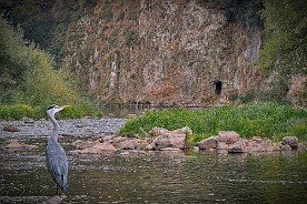 Pano_2016-187_d