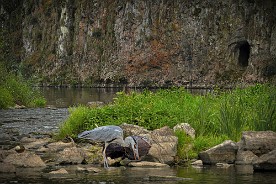 Pano_2016-189