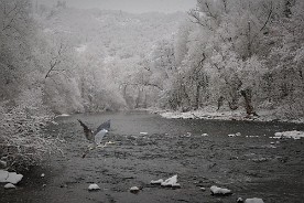 Pano_2017-265