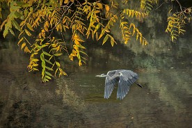 Pano_2017-420_c