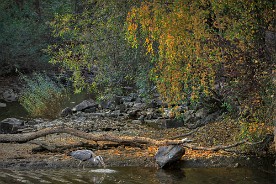 Pano_2017-429_b