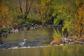 Pano_2017-431_c