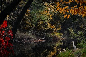 Pano_2017-442_c