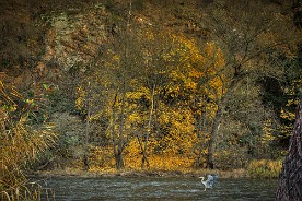 Pano_2017-468