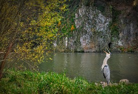 Pano_2017-492_d