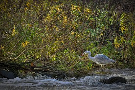 Pano_2017-515