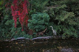 Pano_2017-812