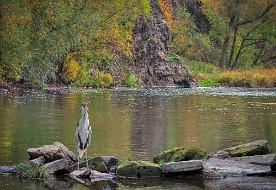 Pano_934_b
