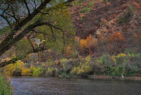 Pano_953_f
