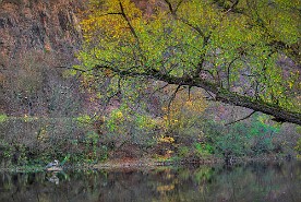 Pano_962_c