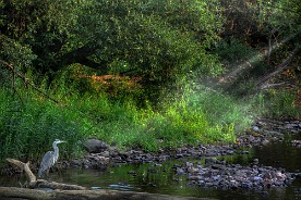 _160495 _c